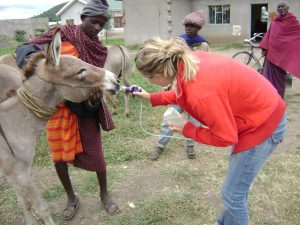 Animal Welfare Volunteering In Tanzania